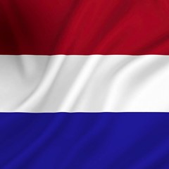 Vlag Nederland 20 x 30 cm