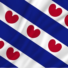 Vlag Friesland 100 x 150 cm