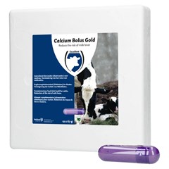 Excellent Calcium Bolus Gold 12 Stuks