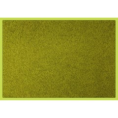 Colorwave Binnenmat Rechthoek 60 x 80 cm - Groen
