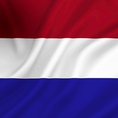 Vlag Nederland 30x45 CM