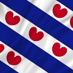 Vlag Friesland 70 x 100 CM