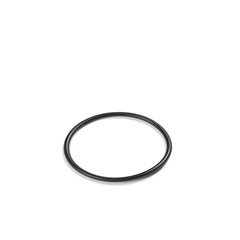 Intex O-Ring Voor Slang