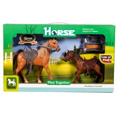 Horse Paard Met Veulen