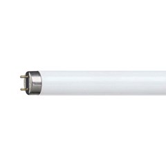 Philips TL-D 16W fluorescente lamp G13 Wit