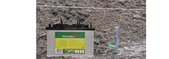 Pulsara Batterijen en Accu's